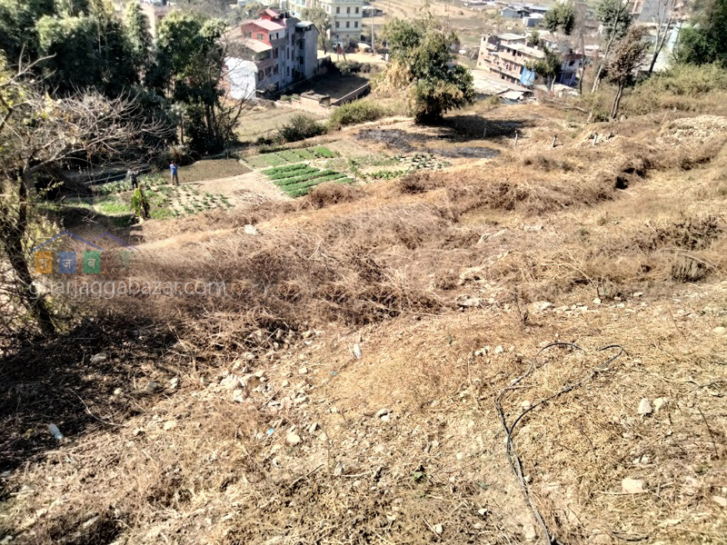 Land on Sale at Bhaisepati Karyabinayak
